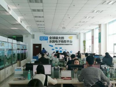 ​“一条鱼”催生的互联网新晋商