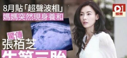 张柏芝承认三胎老公（这么多版本的老公到底谁是真的）