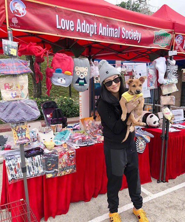 张柏芝承认三胎老公（这么多版本的老公到底谁是真的）