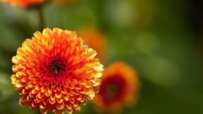 ​德云社周年庆典完整版（天津德云社成立一周年庆典）