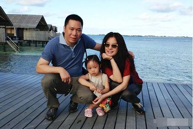 赵薇打孕妇事件真相（赵薇亲日辱华只是冰山一角）