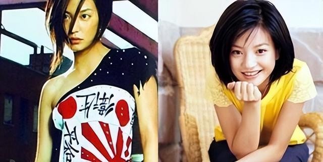 赵薇打孕妇事件真相（赵薇亲日辱华只是冰山一角）