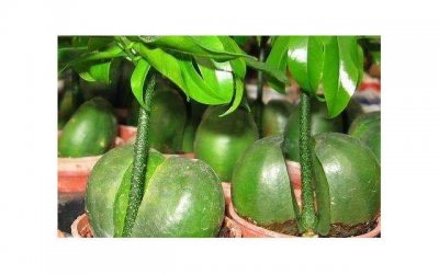 ​记得逼自己养成的几个生活习惯