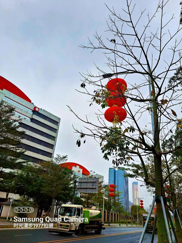 深圳适合徒步的景点推荐(深圳海滨栈道徒步之旅)(12)