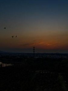 日月交替(日月交替是什么意思)