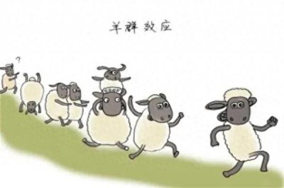 ​羊群效应