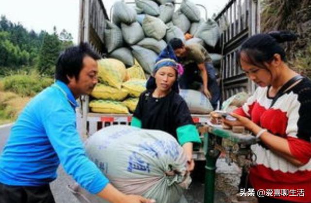 太原填仓节有什么讲究(正月二十五填仓节)(7)