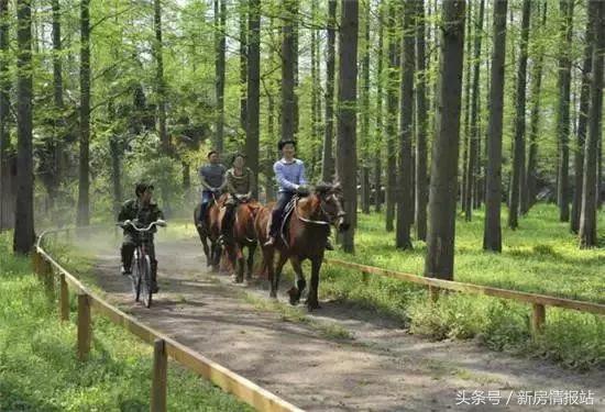 崇明陈家镇联排别墅出售（叠加别墅总价390万起）(12)