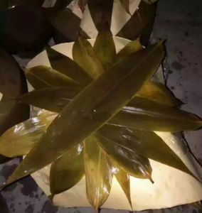 ​坛装散白酒埋在土里有啥好处(埋在土里的酒坛如何封口)