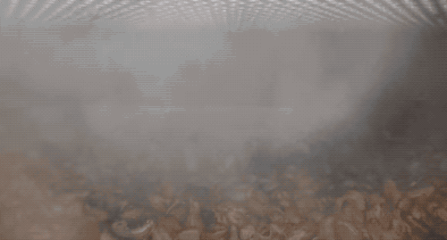 为什么我们买到的腰果都不带壳（终于知道买到的）(9)