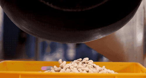 为什么我们买到的腰果都不带壳（终于知道买到的）(18)