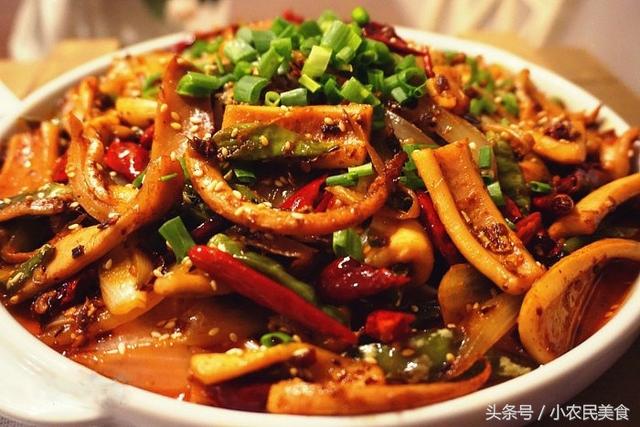 鱿鱼的各种做法大全（10种鱿鱼的做法献给大家）(7)