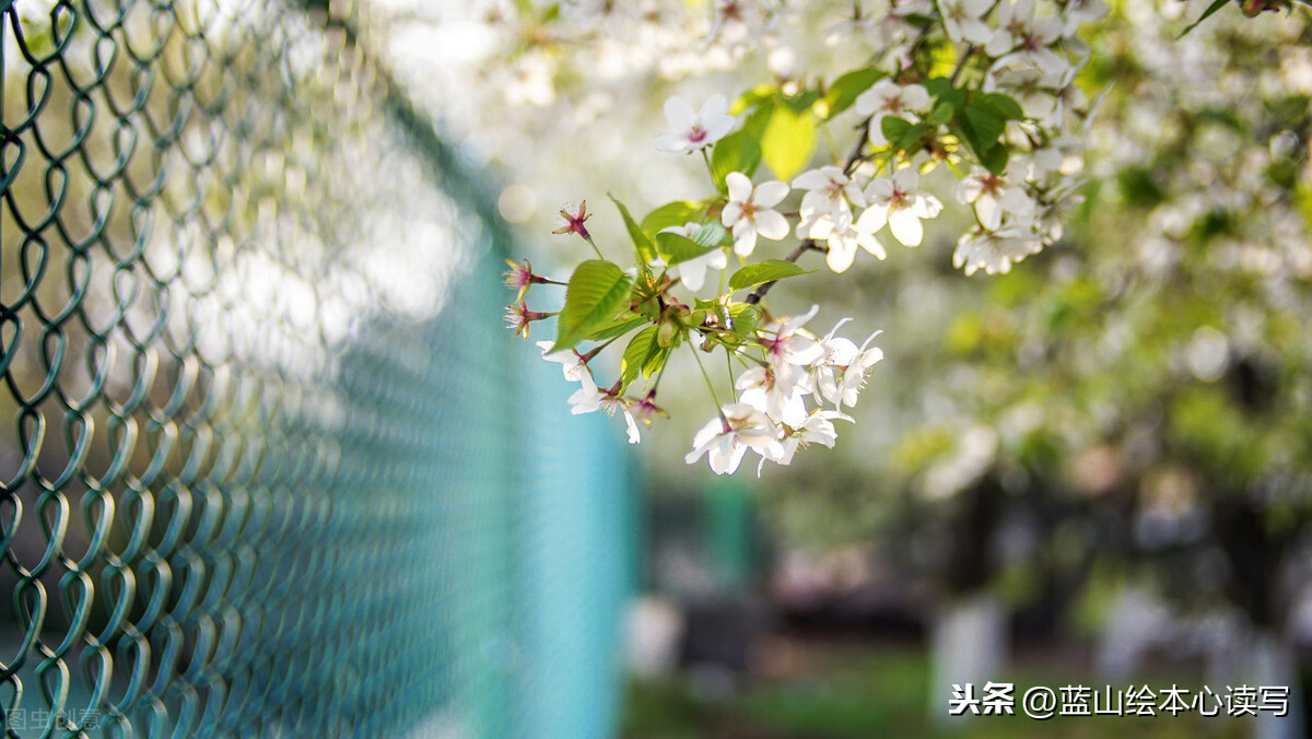 写作顺序有哪些（干货分享写作中最常见的4种顺序）