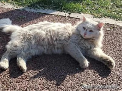 ​独生女家庭遭人嫌？都不愿娶独生女？真的是这样的吗