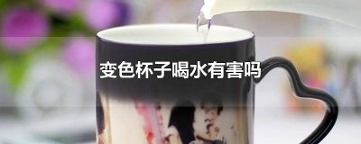 变色杯子喝水有害吗知乎 变色杯子喝水有害吗图片