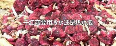​干红菇要用冷水还是热水泡