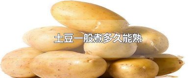 ​土豆一般煮多久能熟块 土豆一般煮多久能熟了