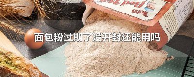 ​没有开袋的面粉过期了还能吃吗 开封的面包粉过期了还能用吗
