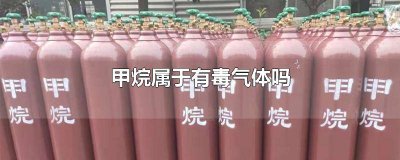 ​甲烷是可燃性气体吗? 甲烷是可燃气体吗?