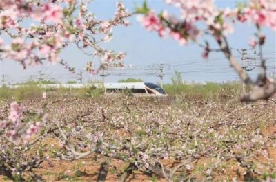 ​收藏！沈阳铁路最全“复兴号”动车组列车时刻表来啦