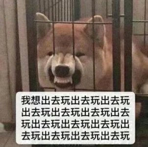 ​表情包：熬夜冠军就是我了