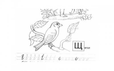 适合孕期的爱爱技巧有哪些 孕妇爱爱有哪些注意事项