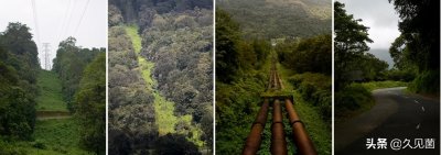 “逆向入侵”红鱼走红,被美国人吃到濒危的红鱼,却在中国泛滥