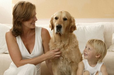 ​养狗的5大“坏处”，养狗的人不得不认同