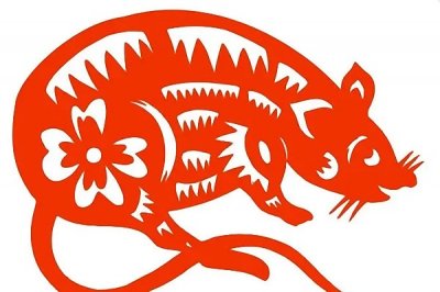 安于现状打一生肖-安于现状说的是哪个属相