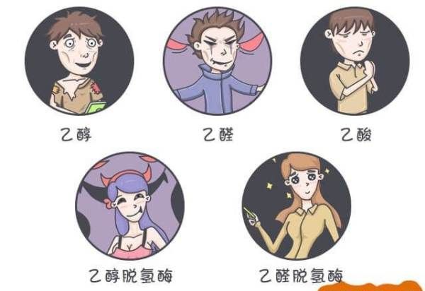 如何提高酒量又不上脸,怎么提高酒量图6