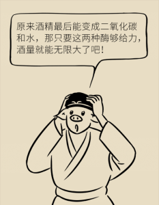 如何提高酒量又不上脸,怎么提高酒量