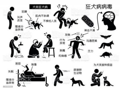 ​狂犬病发病症状前兆还有救吗(猫猫狂犬病发病症状前兆)