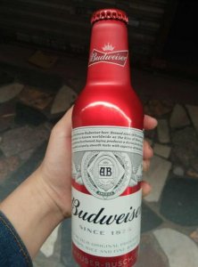 ​百威啤酒的进价是多少钱一瓶(进口百威啤酒多少钱一瓶)