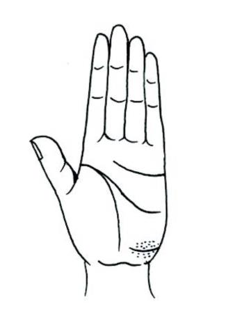 教你怎样看手相（看手相的正确打开方式）(12)