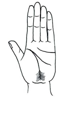 教你怎样看手相（看手相的正确打开方式）(11)