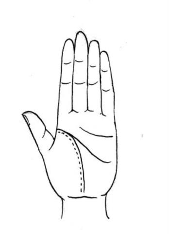 教你怎样看手相（看手相的正确打开方式）(4)