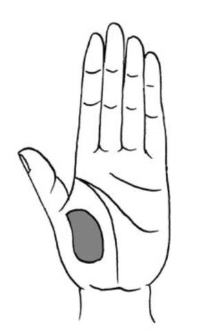 教你怎样看手相（看手相的正确打开方式）(1)