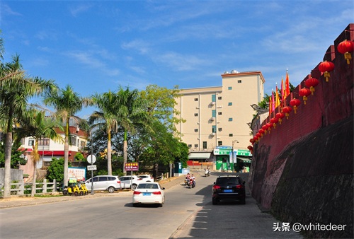 有岭南文化“活化石”之称的 --- 惠州 平海古城