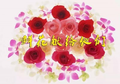 ​skr~南京法院五名法官被授予“全省审判业务专家”称号