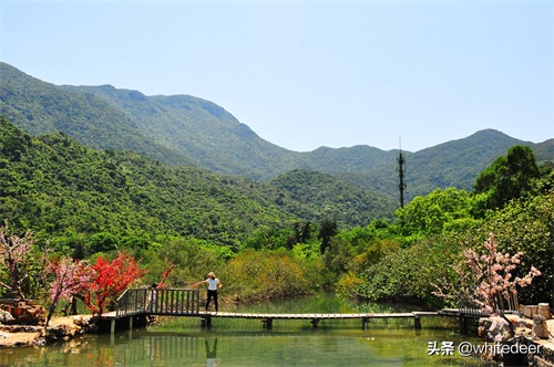 杨梅坑 --- 深圳一处看海 听海的好去处