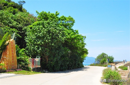 杨梅坑 --- 深圳一处看海 听海的好去处