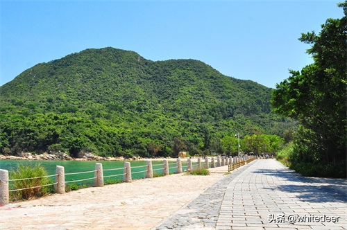 杨梅坑 --- 深圳一处看海 听海的好去处