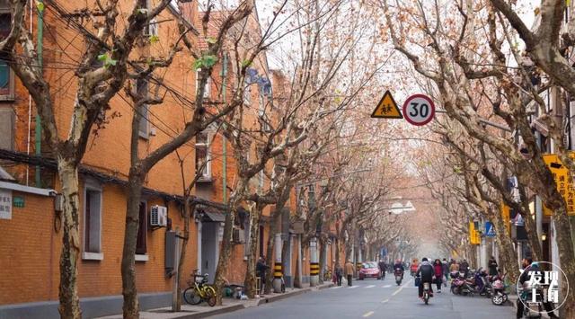 上海一日游最佳景点自由行（上海适合一日游的100个景点）(57)