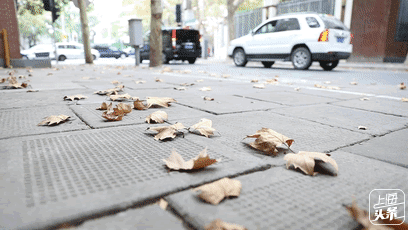 上海一日游最佳景点自由行（上海适合一日游的100个景点）(44)