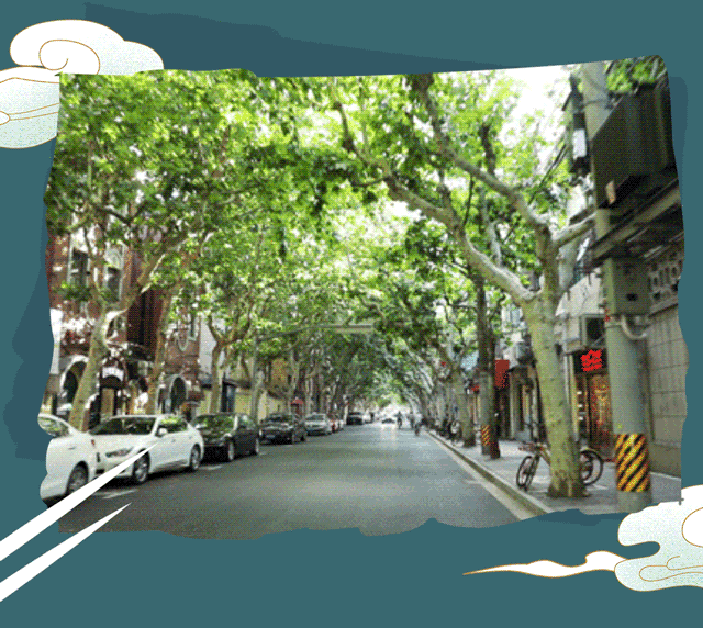 上海一日游最佳景点自由行（上海适合一日游的100个景点）(5)