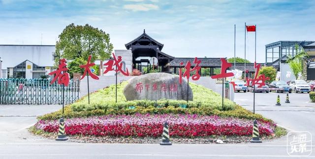 上海一日游最佳景点自由行（上海适合一日游的100个景点）(102)