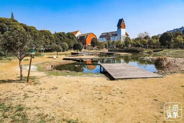 上海一日游最佳景点自由行（上海适合一日游的100个景点）(36)