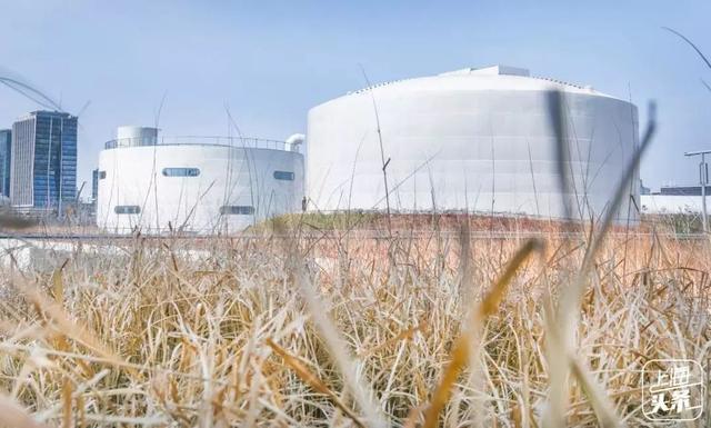 上海一日游最佳景点自由行（上海适合一日游的100个景点）(39)
