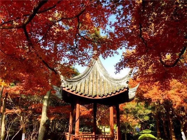 上海一日游最佳景点自由行（上海适合一日游的100个景点）(80)