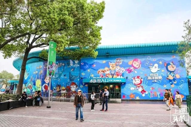 上海一日游最佳景点自由行（上海适合一日游的100个景点）(96)